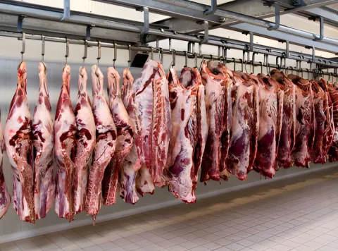 slaughterhouses